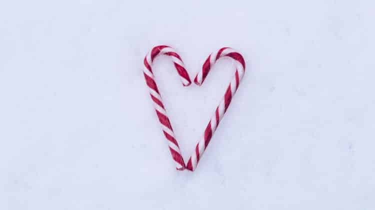 fine, convivenza, separazione tra conviventi