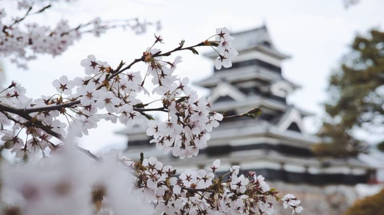 San Valentino in Giappone