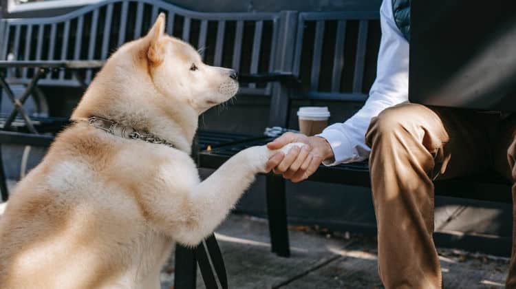 film da guardare in coppia