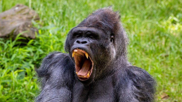 come passare il tempo