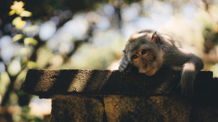 cosa fare quando ci si annoia