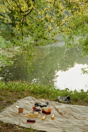 aree da picnic