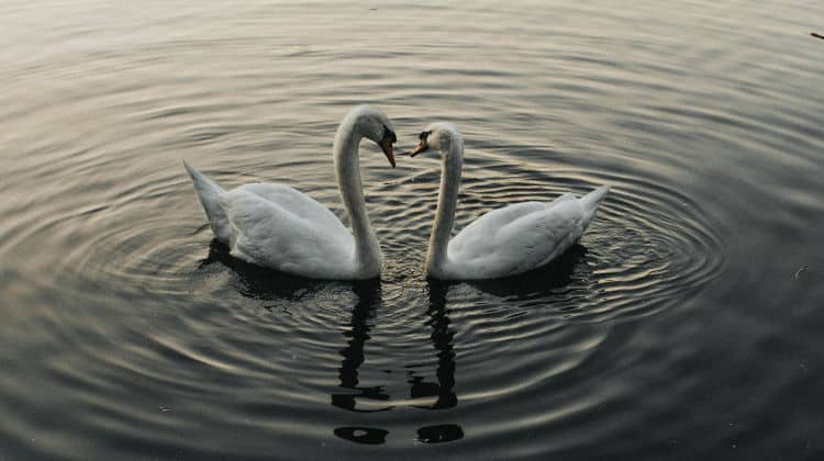 gite fuori porta a Roma