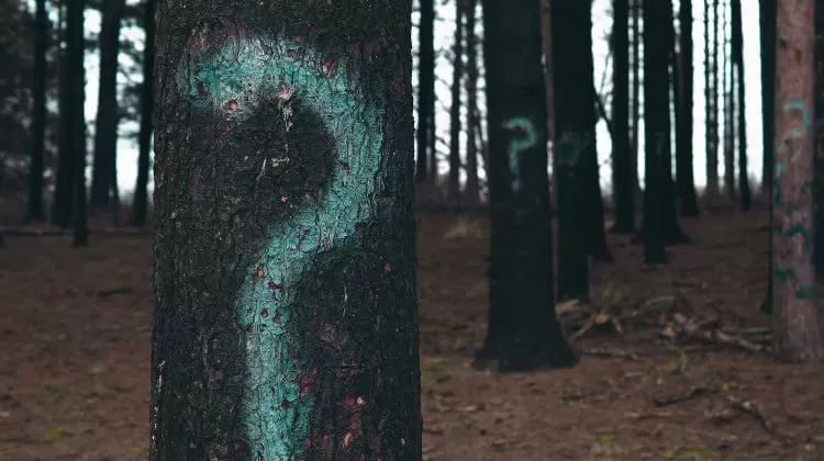 Chiedere di andare a convivere