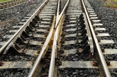 provare a convivere come fare