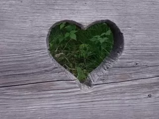 Il lato grigio che illumina il cammino. •