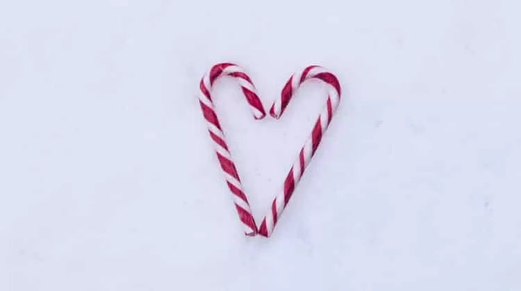 fine, convivenza, separazione tra conviventi