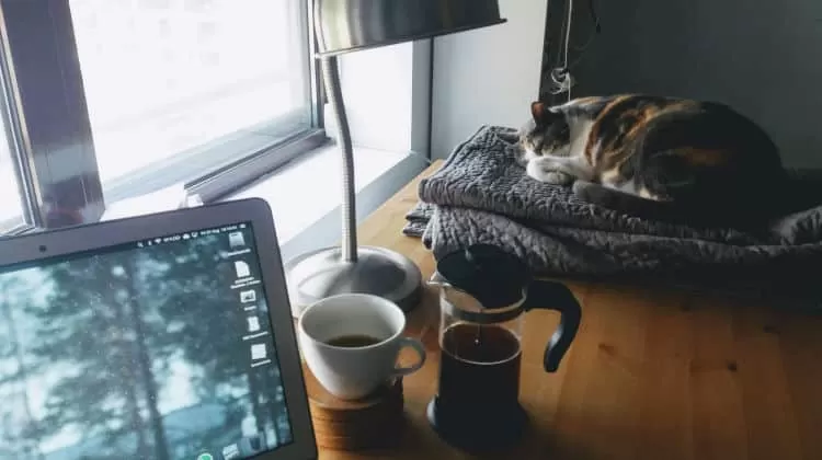 Fratello adolescente: guida per una convivenza serena • fratello adolescente