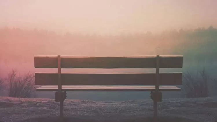 fine, convivenza, separazione tra conviventi