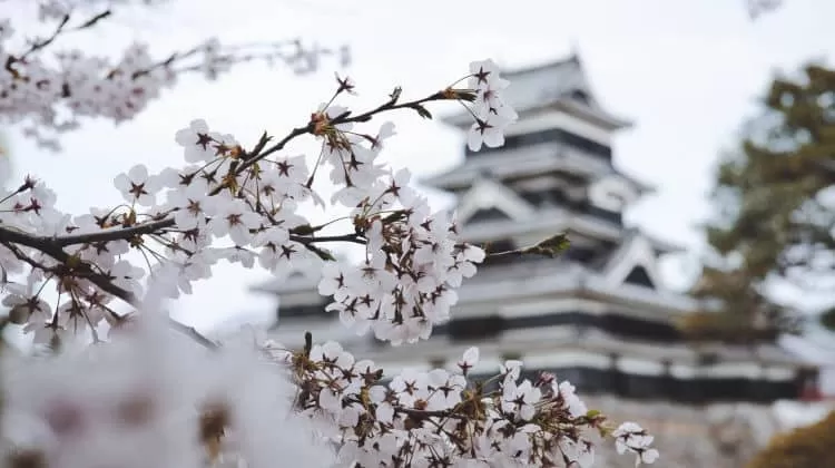 San Valentino in Giappone