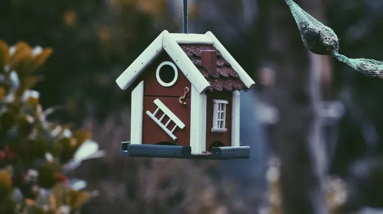 Comprare o affittare casa